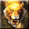 ������