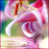 http://mitosa.net/avatars/100x100/flowers/flower18.jpg